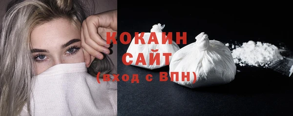 молекула духа Переславль-Залесский