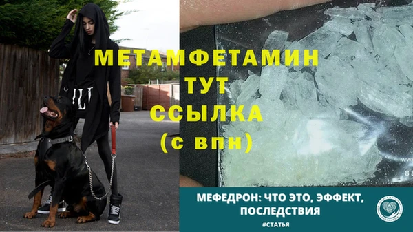 молекула духа Переславль-Залесский