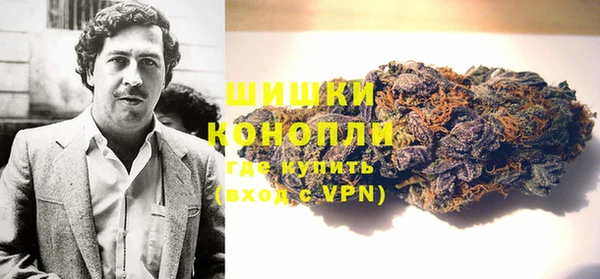 молекула духа Переславль-Залесский