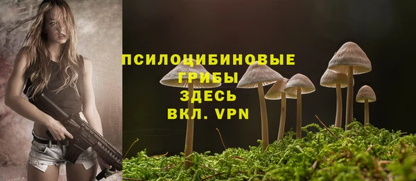 прущие грибы Покровск