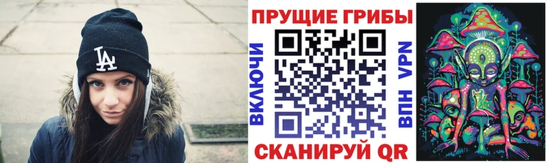 Псилоцибиновые грибы ЛСД  Купить  Волжский 