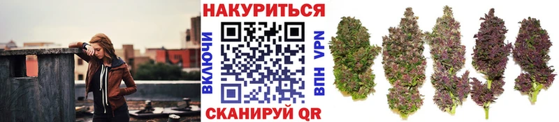 Конопля MAZAR  Купить где  Волжский